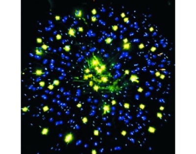 ЕС650 Новогодняя шумиха Батареи салютов до 25 залпов 